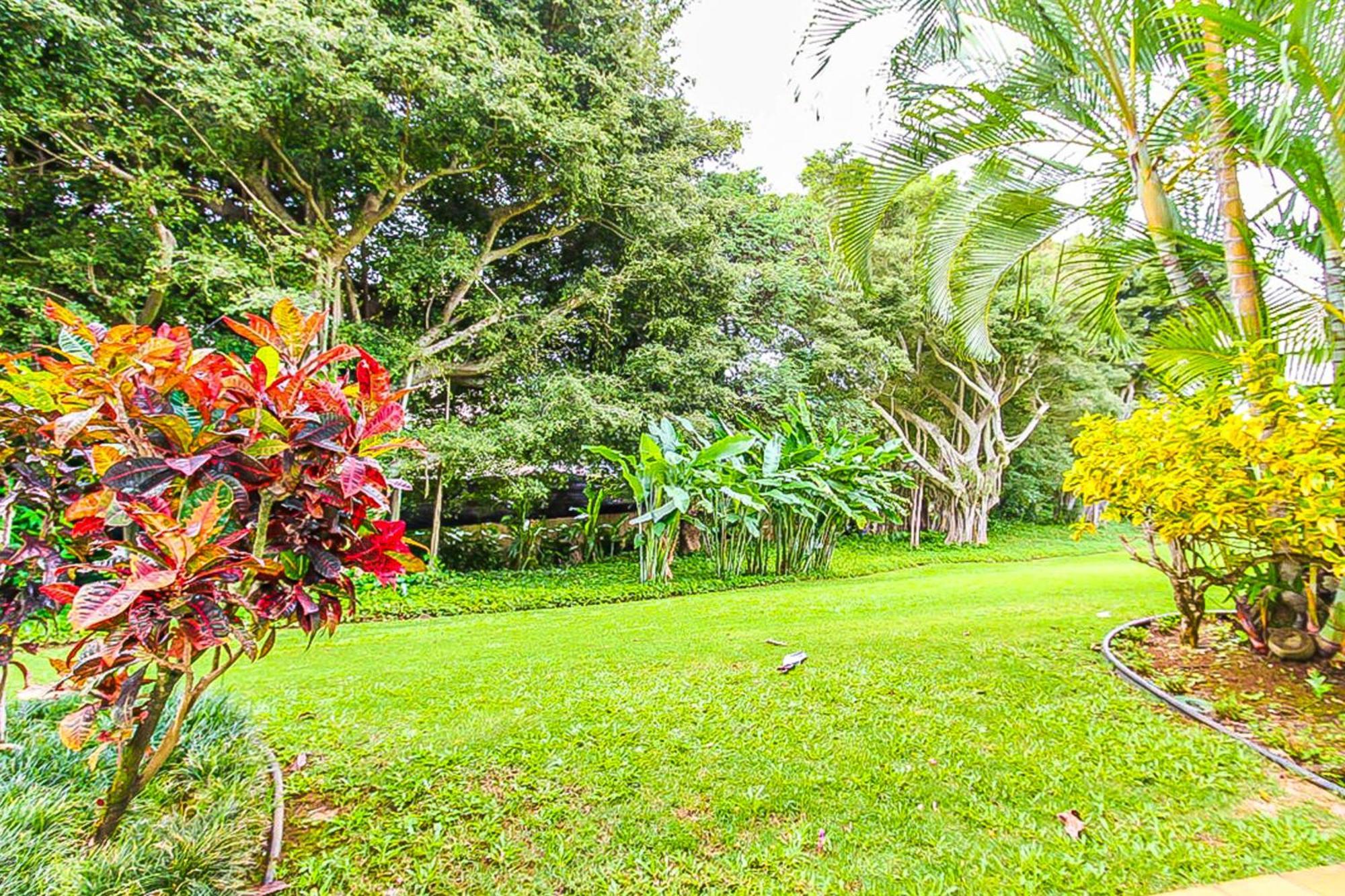 Kiahuna Plantation Колоа Номер фото